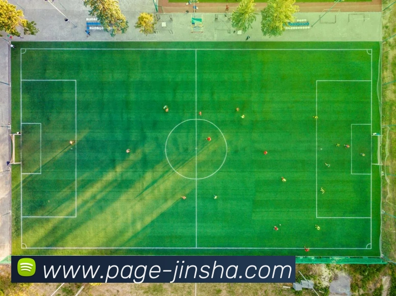 金沙娱乐平台生态图