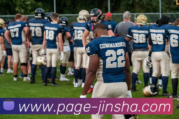 金沙娱乐APP 封面图